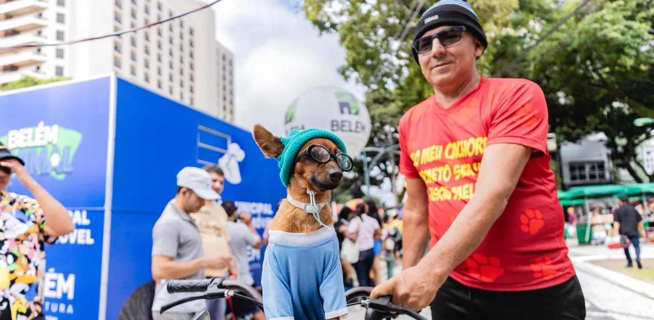 Animais precisam de atenção especial no calor.
