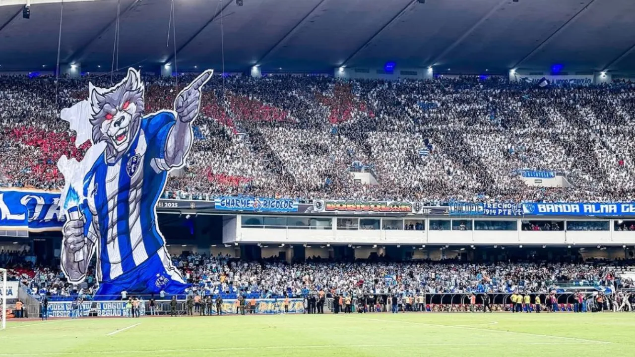 A força da torcida do Paysandu faz do clube um destaque na Série C.
