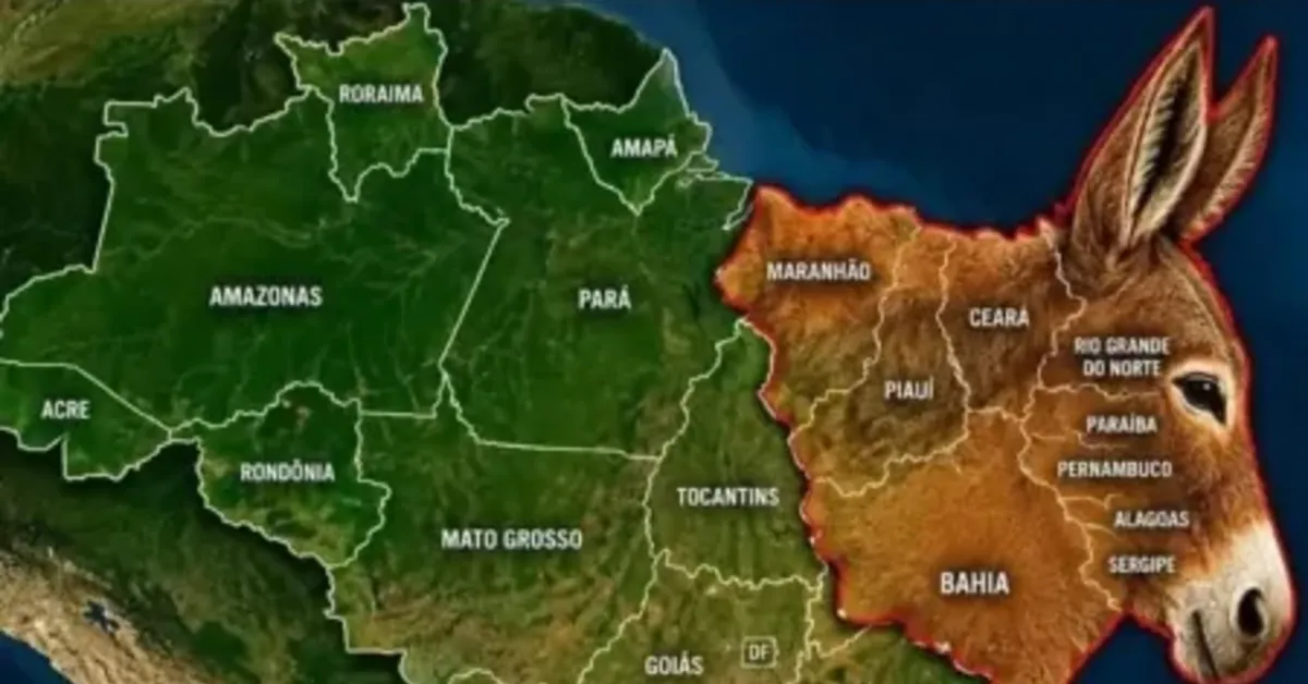 Imagem que associa um burro ao mapa do Nordeste foi usada em uma das manifestações de preconceito regional identificadas pelo estudo após o primeiro turno das eleições.