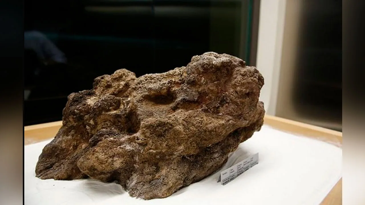 Encontrada em 13 de setembro de 1983 no garimpo de Serra Pelada (PA), a Pepita Canaã pesa 60,8 kg e é o maior exemplar de ouro preservado no mundo.