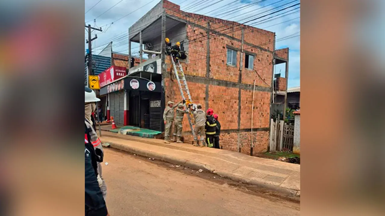 A operação mobilizou cerca de dez profissionais, incluindo bombeiros militares e técnicos da rede elétrica.