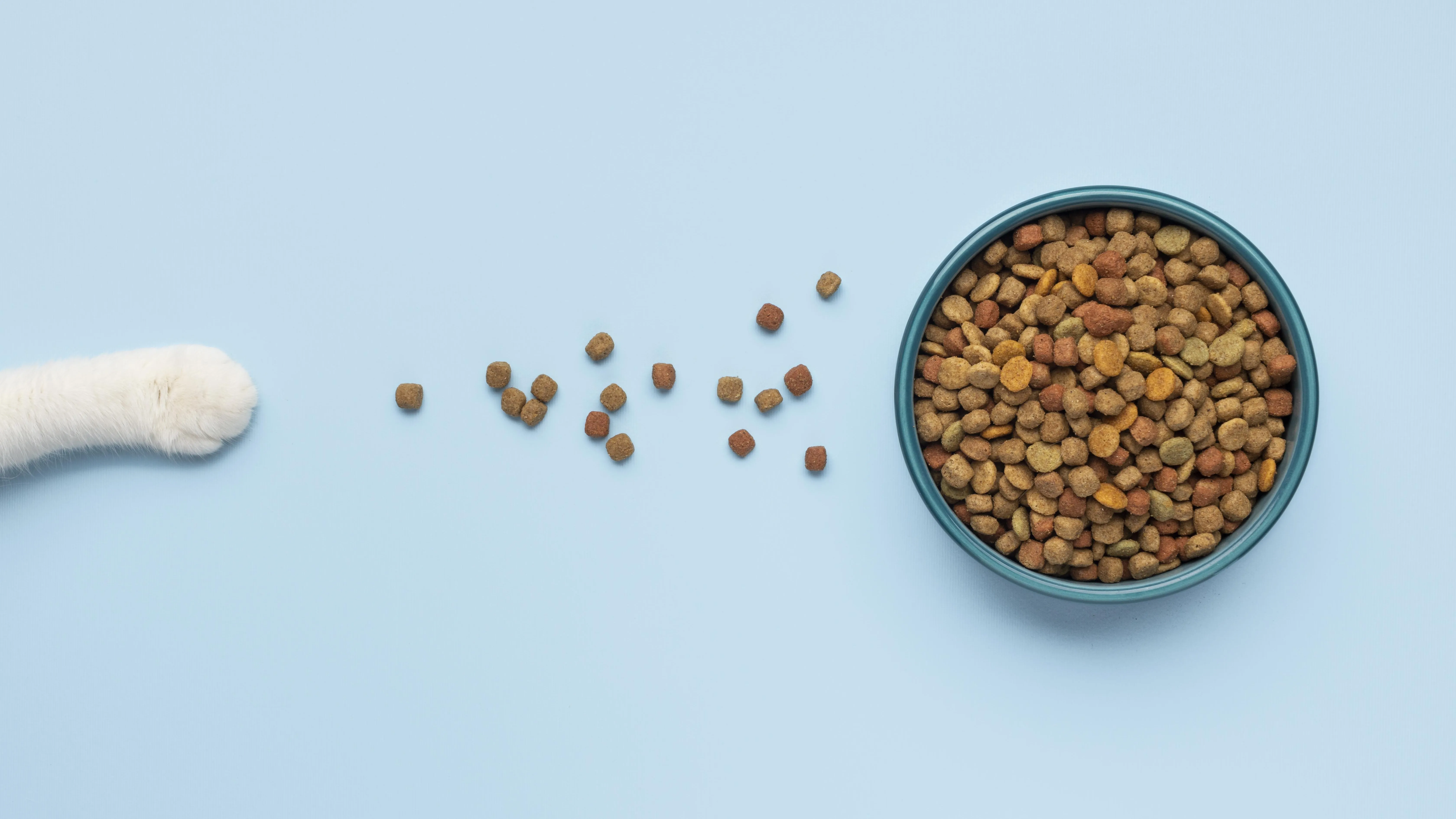 O alimento precisa ser completo e balanceado para a espécie e para a fase de vida do pet.