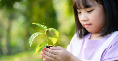 No Dia da Sustentabilidade, atividades lúdicas podem ajudar crianças a compreender a importância da preservação ambiental sem transformar a crise climática