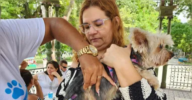A imunização será destinada a cães e gatos que estejam saudáveis e aptos a receber a vacina