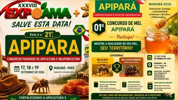 Com transmissão e palestras técnicas, a 21ª edição do Apipará debaterá o fortalecimento da cadeia produtiva do mel no Pará.