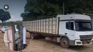 Denúncia anônima alertou sobre a retirada suspeita de animais em fazenda; rebanho seria levado para negociação em Piçarra.