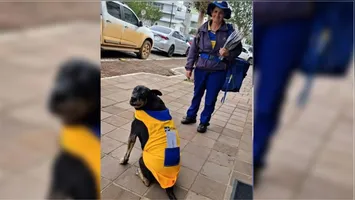 O cão Duque caminha lado a lado com a servidora Marlene Trevizan durante o trajeto diário de entregas em Paraí, no interior gaúcho.
