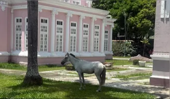 O episódio da praça não é isolado. Belém registrou ao menos quatro situações parecidas em poucas semanas.