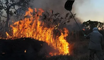 Imagem ilustrativa da notícia Muaná decreta emergência por avanço de incêndios e seca no Marajó