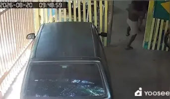 O homem atacou a irmã com o terçado e, em seguida, quebrou os vidros do carro
