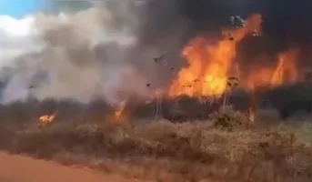 O incêndio começou pela vegetação da área e quase alcançou residências