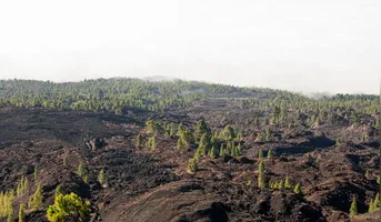 O fenômeno tem causado mudanças climáticas no Brasil