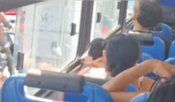 Cachorro é flagrado dentro de ônibus ao lado da tutora e recebe água durante trajeto em Belém