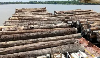 Cerca de 700 metros cúbicos de madeira em tora foram apreendidos durante fiscalização no Rio Maiatuaru, em Igarapé-Miri, no nordeste do Pará.