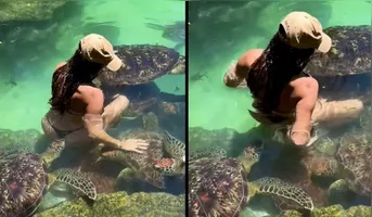 Imagem ilustrativa da notícia VÍDEO: Tartaruga morde bumbum de modelo durante ensaio fotográfico