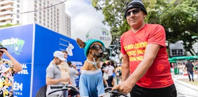 Animais precisam de atenção especial no calor.