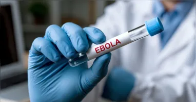 Quênia confirmou o primeiro caso de ebola no país nesta terça-feira (6); paciente morreu após receber tratamento.