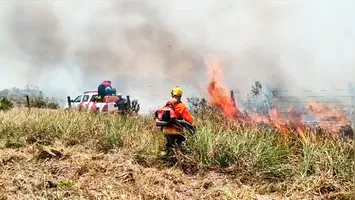 Área de vegetação na Terra Indígena Mãe Maria após ser consumida pelas chamas em Bom Jesus do Tocantins, no sudeste paraense