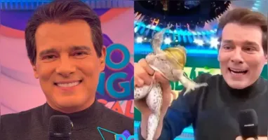 Entidades de proteção animal afirmam que o animal foi submetido a estresse intenso durante a atração.