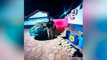 Agentes da PRF contabilizam 119 tabletes de skunk apreendidos dentro de tambores em caminhonete na BR-230, em Novo Repartimento (PA)