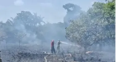 Militares do Corpo de Bombeiros atuaram para conter as chamas na área de vegetação