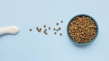 O alimento precisa ser completo e balanceado para a espécie e para a fase de vida do pet.