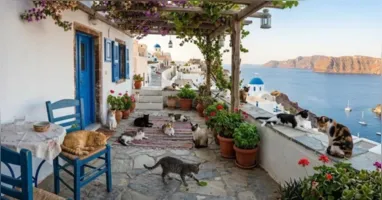 Já imaginou morar de graça em uma ilha da Grécia cuidando de gatos? O programa Syros Cats busca voluntários para 2027 e oferece moradia e café da manhã gratuitos em troca de cuidados com os felinos.