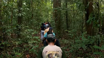 Descubra a Trilha Amazônia Atlântica, uma rota de ecoturismo que liga Belém a Viseu, unindo natureza e cultura ao longo de 468 km no Pará.