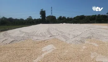 Com os dois novos campos em construção, o Centro de Treinamento do Paysandu passa por uma transformação gradual
