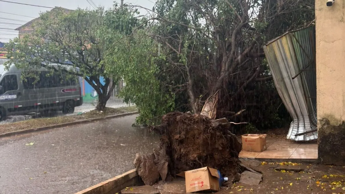 Imagem ilustrativa da notícia Vídeo: Temporal causa quedas e danos em vários pontos de Marabá
