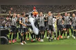 Galo bateu o Peixe e tirou onda depois
