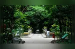 Bosque Rodrigues Alves completa 143 anos em Belém.