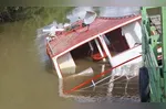 A embarcação naufragou e 60 búfalos morreram afogados