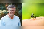No texto, o veículo descreve como Belém enfrentou o surto com vigilância epidemiológica, atuação de agentes de saúde, novas tecnologias e participação dos moradores.