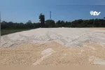 Com os dois novos campos em construção, o Centro de Treinamento do Paysandu passa por uma transformação gradual