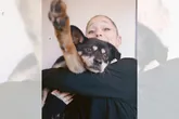 Coco, cachorrinha de 17 anos, morreu e comoveu a web.