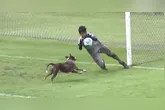 Quaseu um gol histórico