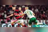 A briga pelo título brasileiro esquentou! Palmeiras e Flamengo estão a apenas 3 pontos