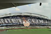 Imagem ilustrativa da notícia Remo abre nova venda de ingressos para duelo com Flamengo no Mangueirão