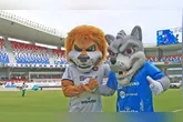 Paysandu soma 2.427.416 seguidores nas plataformas monitoradas. O Remo aparece logo atrás, na 22ª colocação, com 2.303.733
