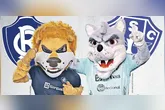 Remo e Paysandu foram avaliados por designers; Remo se destacou na comparação estética.