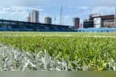 Imagem ilustrativa da notícia Paysandu: reforma no gramado da Curuzu deve começar em outubro