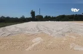 Com os dois novos campos em construção, o Centro de Treinamento do Paysandu passa por uma transformação gradual