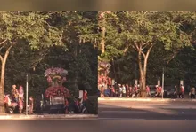 Peregrinos já tomam as rodovias do Pará em direção à Basílica Santuário, em Belém, reforçando a tradição e segurança das celebrações.