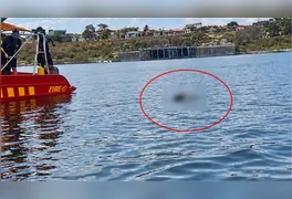 Mergulhadores do Corpo de Bombeiros e voluntários durante a força-tarefa de buscas nas águas do Lago de Tucuruí, no Pará.