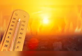 Relatório do Pnuma destaca que corte de emissões e remoção de carbono podem devolver temperaturas a limites seguros.