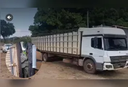 Denúncia anônima alertou sobre a retirada suspeita de animais em fazenda; rebanho seria levado para negociação em Piçarra.