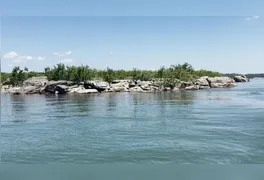 Projeto de derrocamento no rio Tocantins mobiliza ribeirinhos e atrai alertas de cientistas sobre riscos socioambientais.
