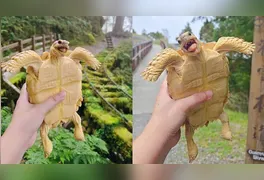 Pongpong vive em Taiwan e chama atenção nas redes pelas expressões que parecem um sorriso