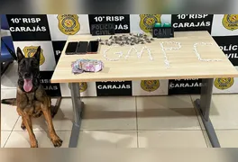 Ação conjunta entre a Guarda Municipal e a Polícia Civil no bairro Vila Canaã resultou no recolhimento de crack, maconha e dinheiro em espécie.